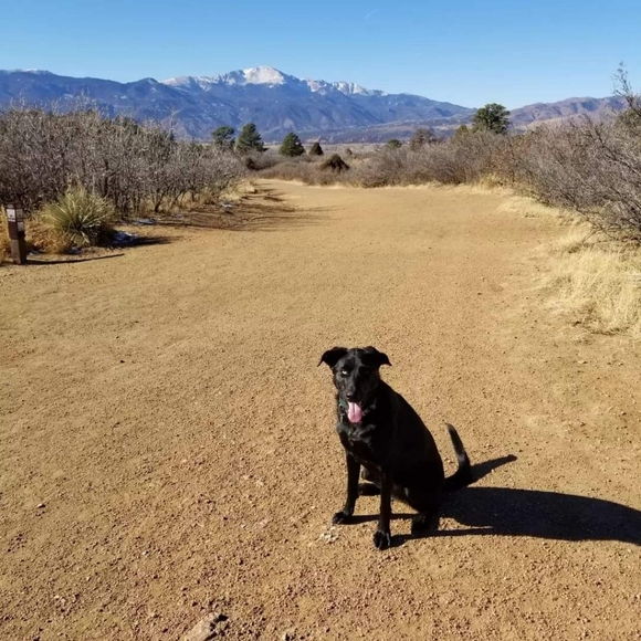 Meet your Posher, Joy - Picture 1 of 1